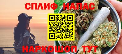 spice Гагарин
