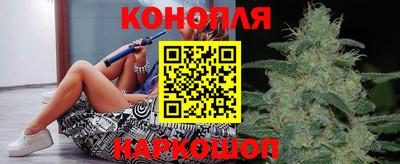мяу мяу мука Гатчина