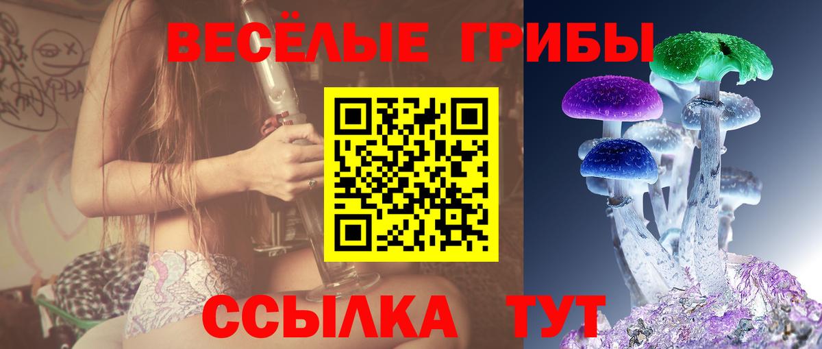 Галлюциногенные грибы GOLDEN TEACHER Волгодонск